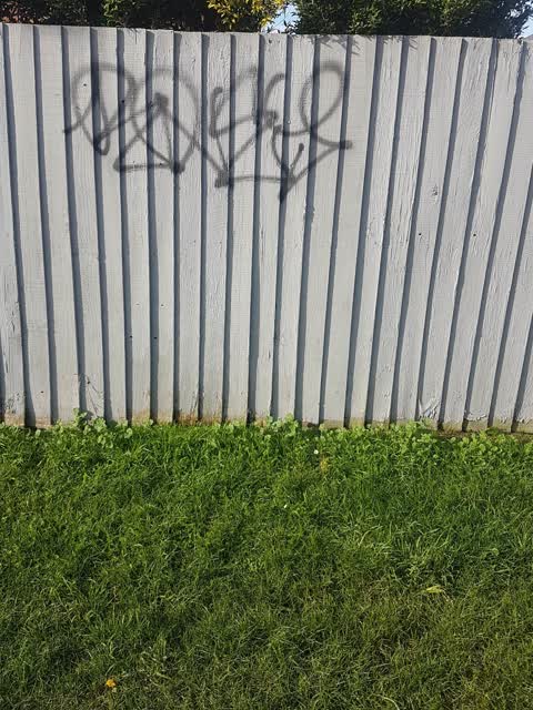 Graffiti, a report photo