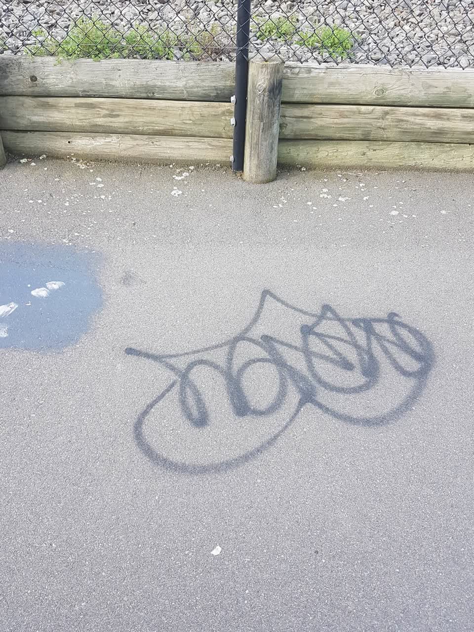 The photograph attached to this graffiti report