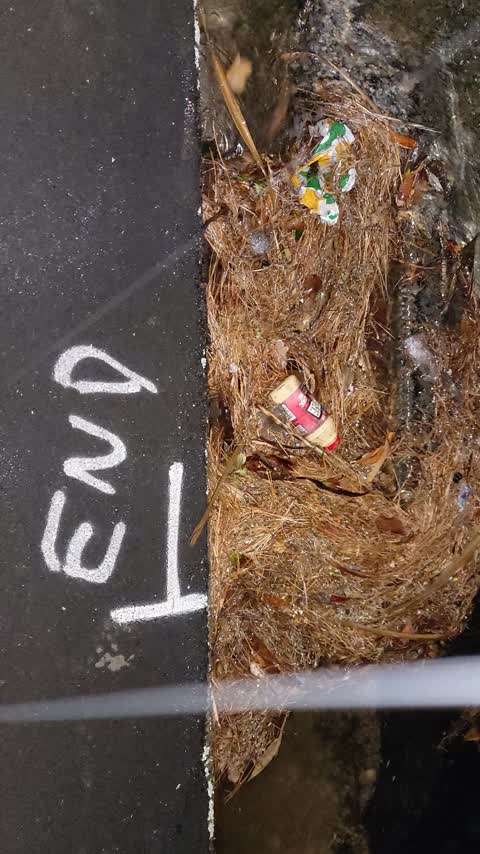 Wastewater/Stormwater, a report photo