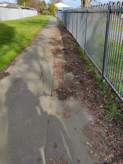 Parks, a report photo