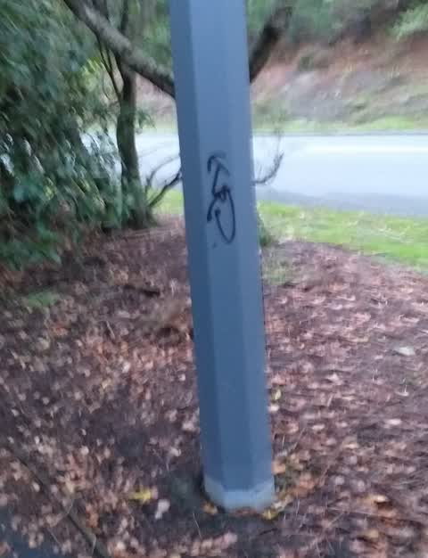 Graffiti, a report photo