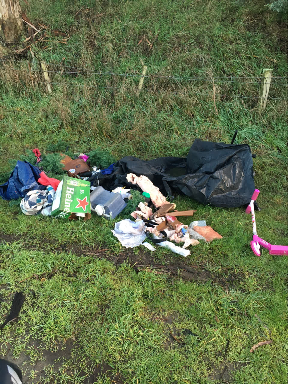 The photograph attached to this rubbish/recycling report