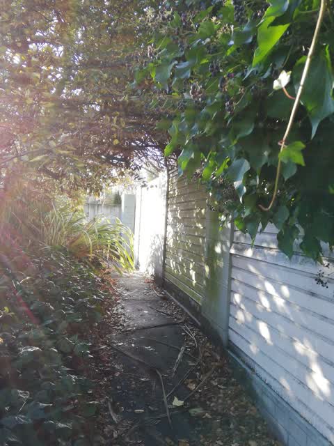 Roading/Streets, a report photo