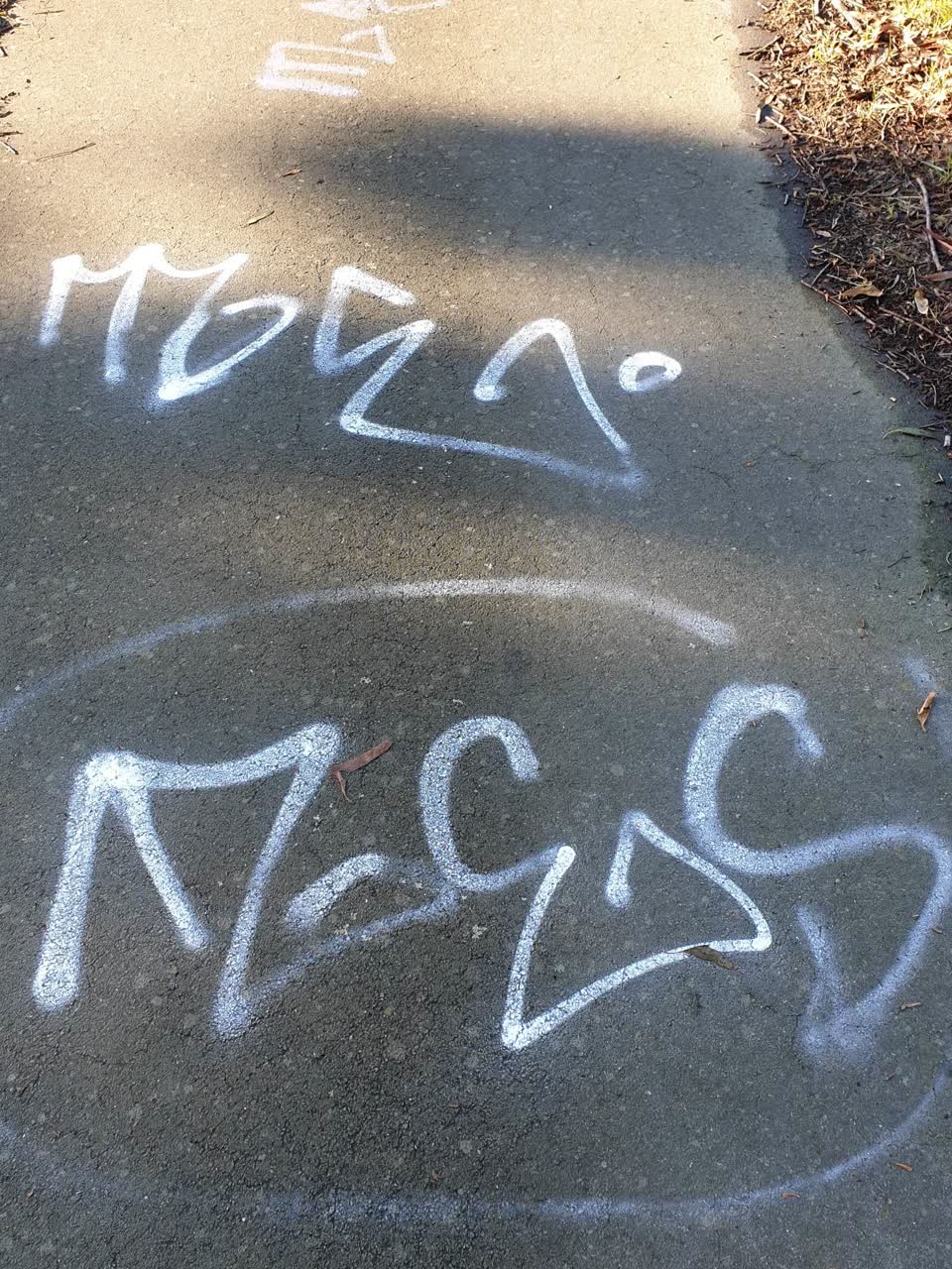 The photograph attached to this graffiti report
