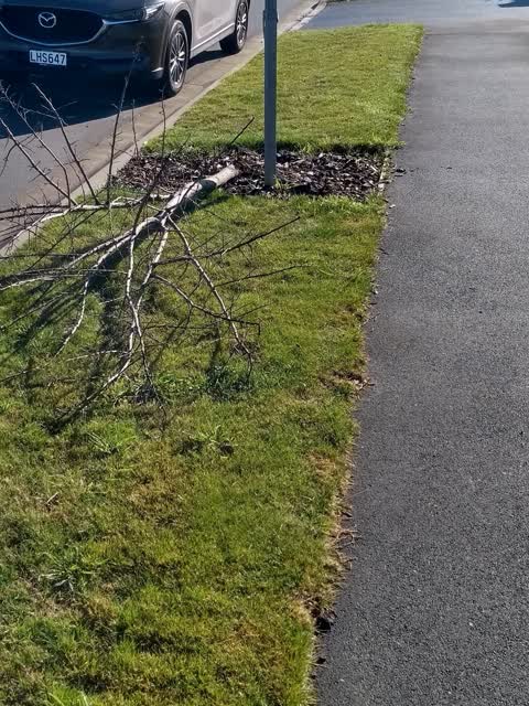 Roading/Streets, a report photo
