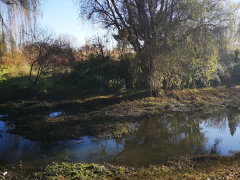 Water Supply, a report photo