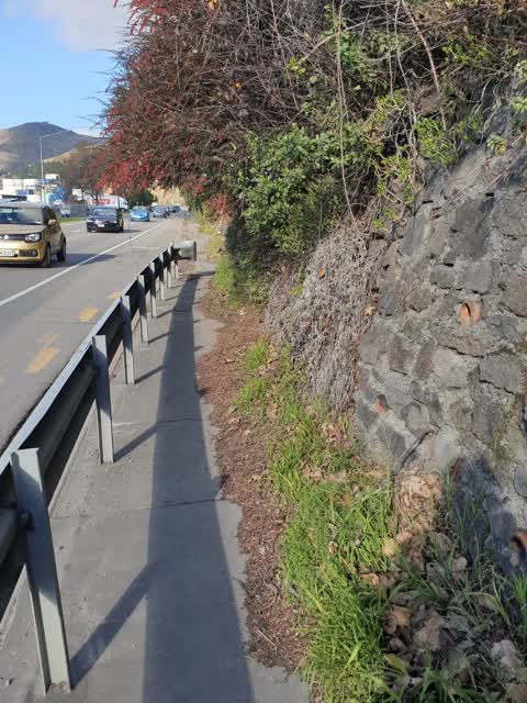 Parks, a report photo