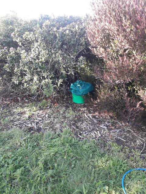 Rubbish/Recycling, a report photo
