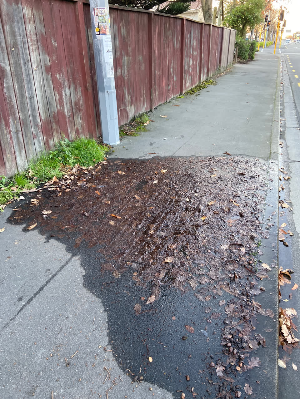 The photograph attached to this roading/streets report