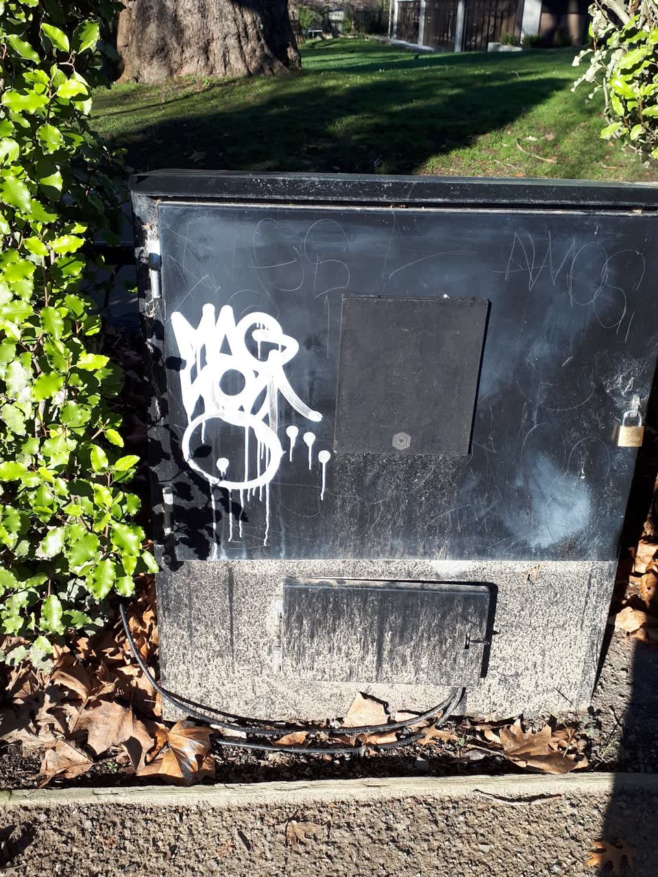 The photograph attached to this graffiti report