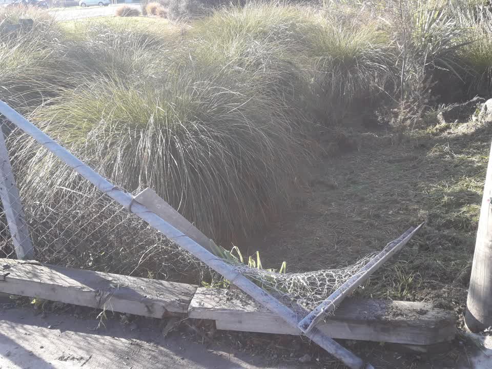 The photograph attached to this parks report