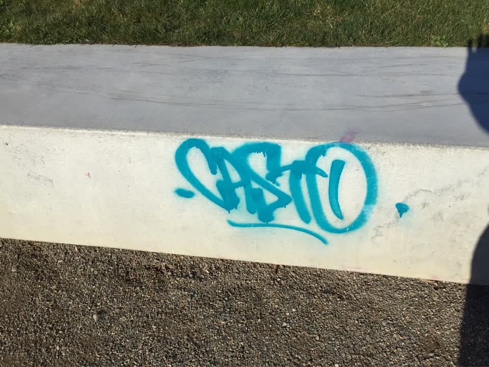 The photograph attached to this graffiti report