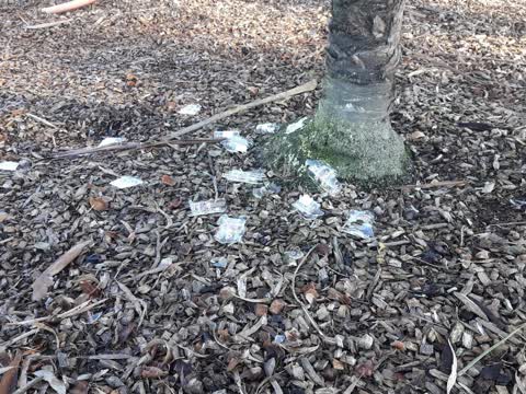Parks, a report photo
