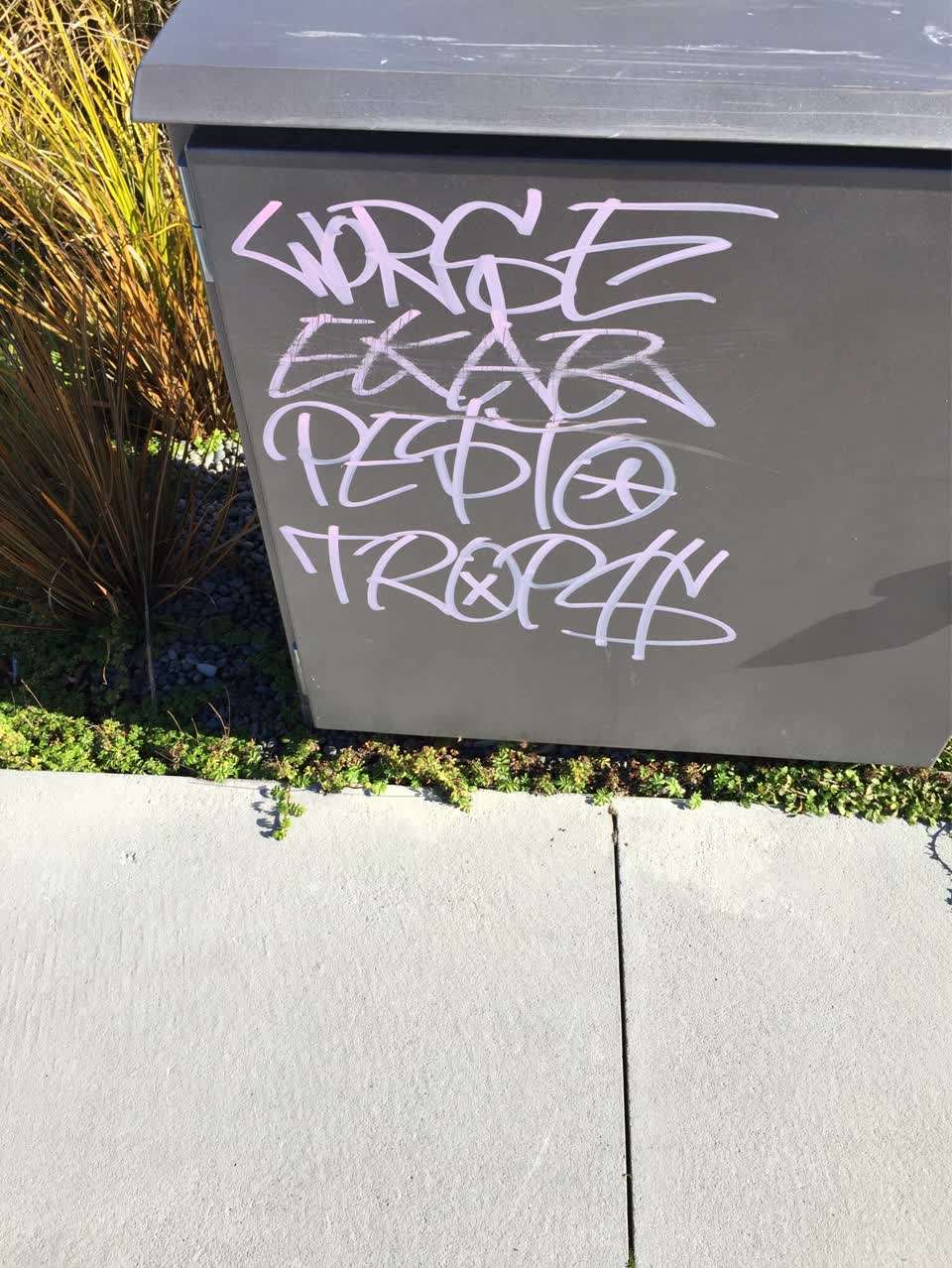 The photograph attached to this graffiti report