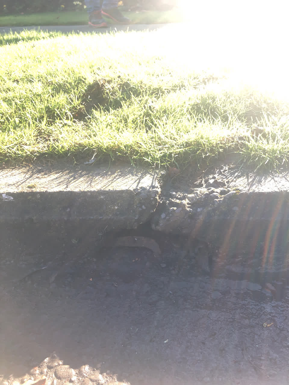 The photograph attached to this wastewater/stormwater report