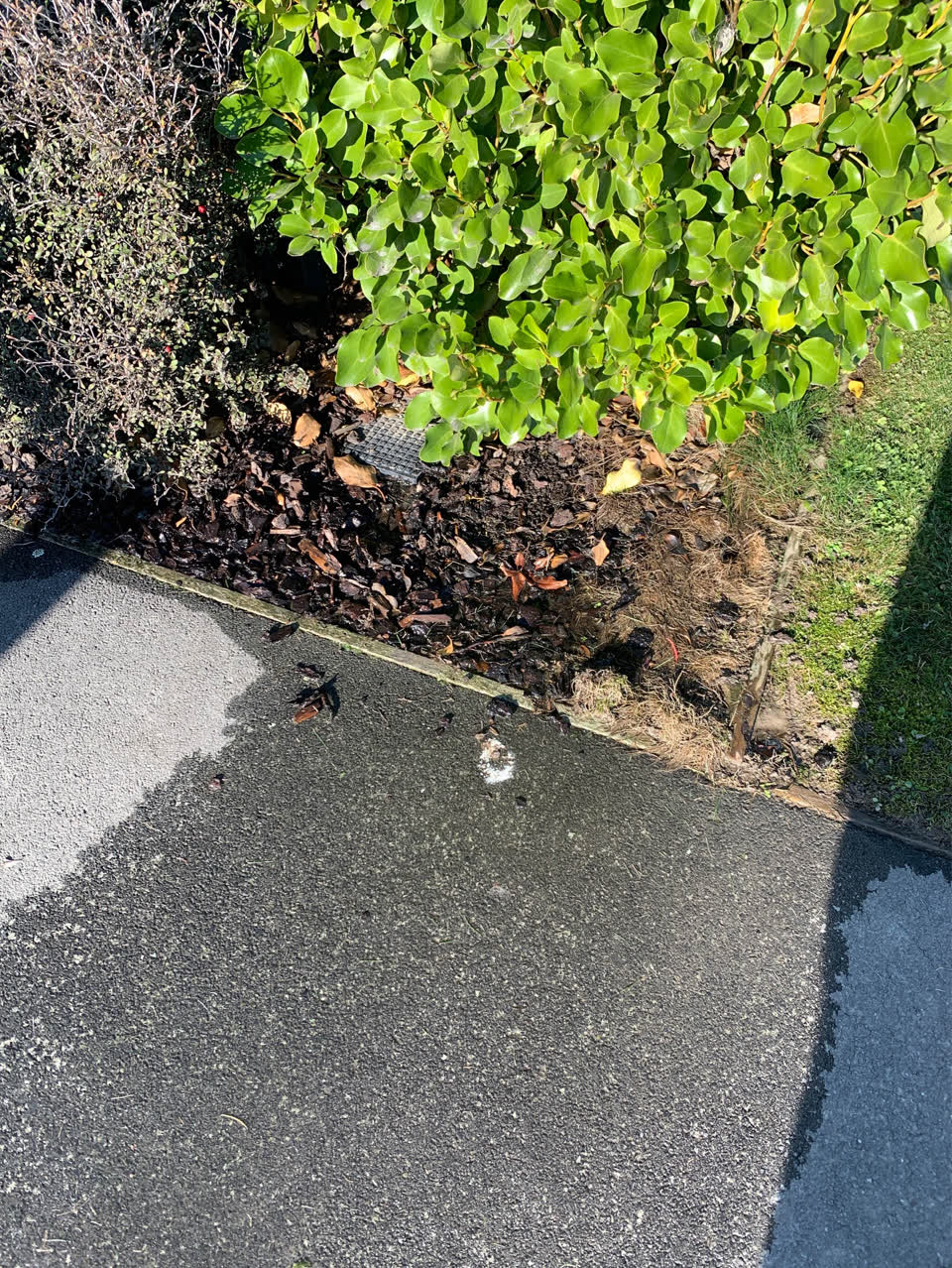 The photograph attached to this flooding report