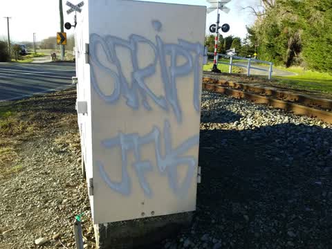 Graffiti, a report photo