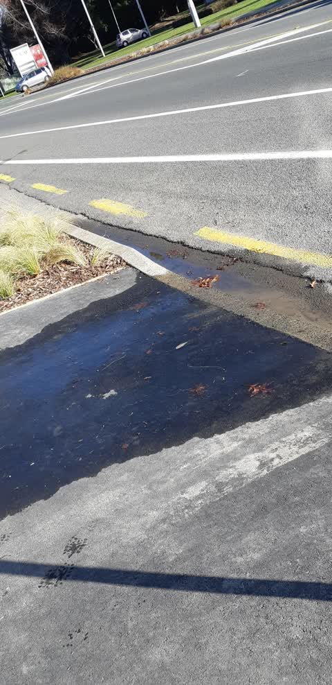 Water Supply, a report photo