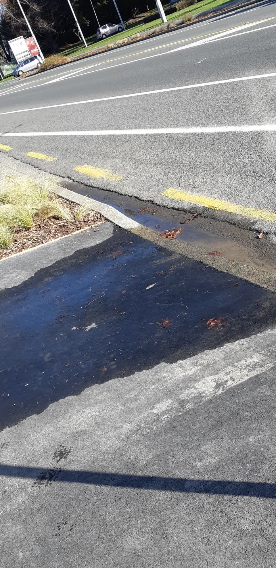 The photograph attached to this water supply report