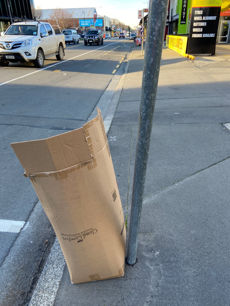 The photograph attached to this rubbish/recycling report