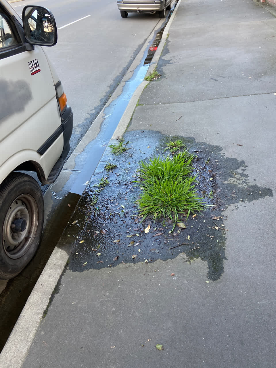 The photograph attached to this roading/streets report