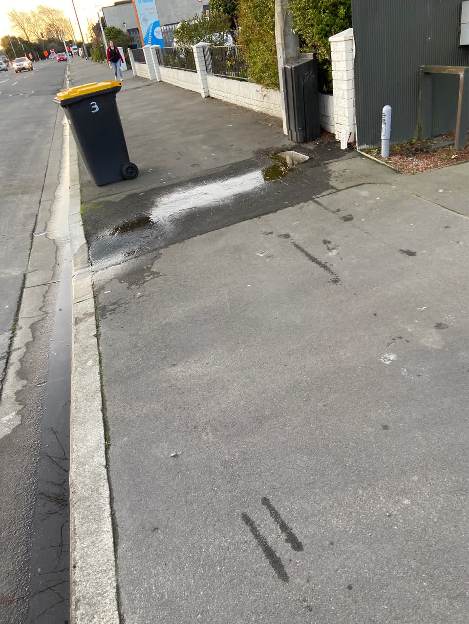 The photograph attached to this roading/streets report