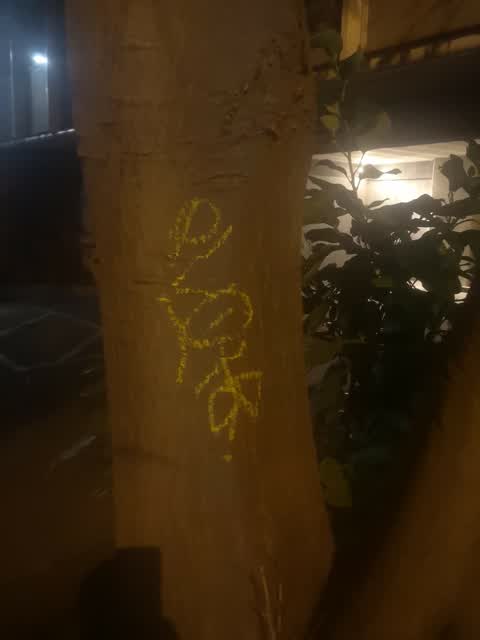 Graffiti — a report photo