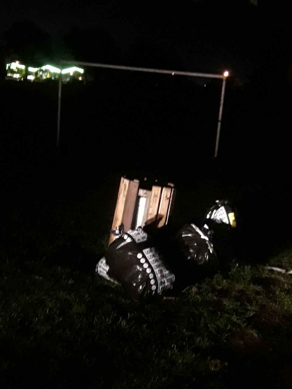 The photograph attached to this parks report