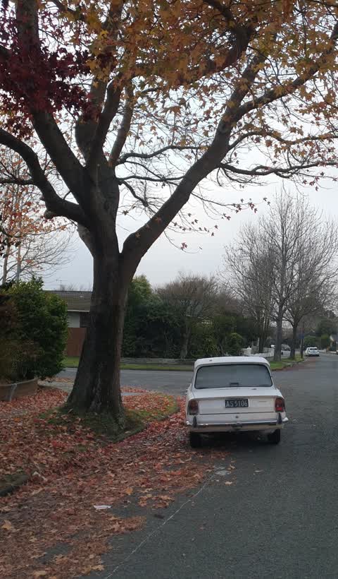 Roading/Streets, a report photo