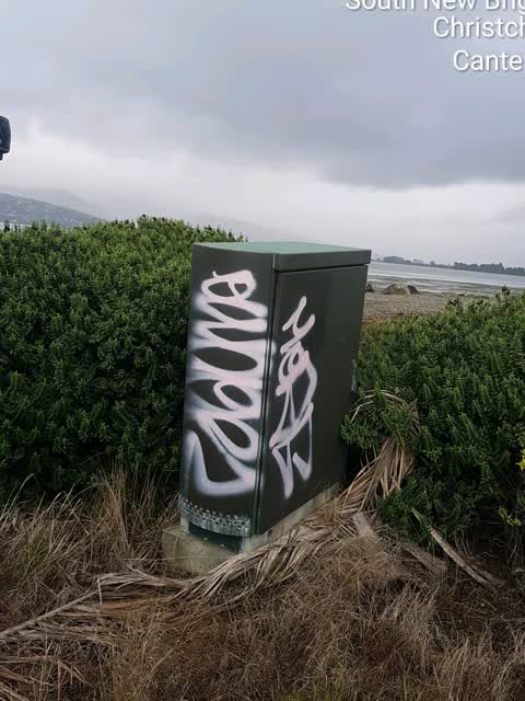 Graffiti, a report photo