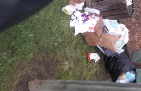 Parks, a report photo