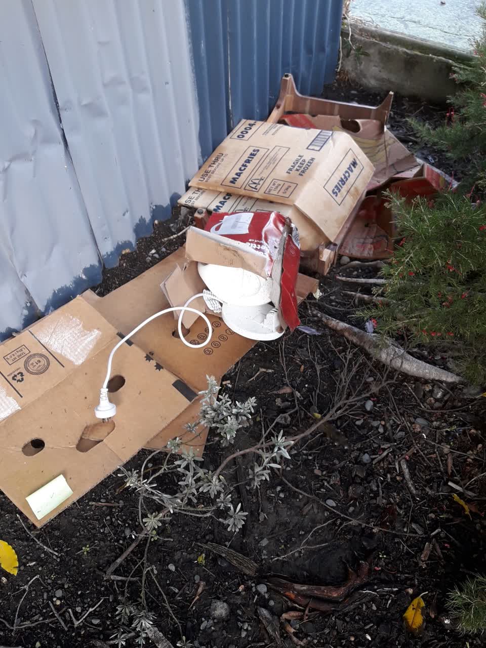 The photograph attached to this parks report