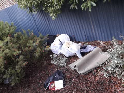 Parks, a report photo