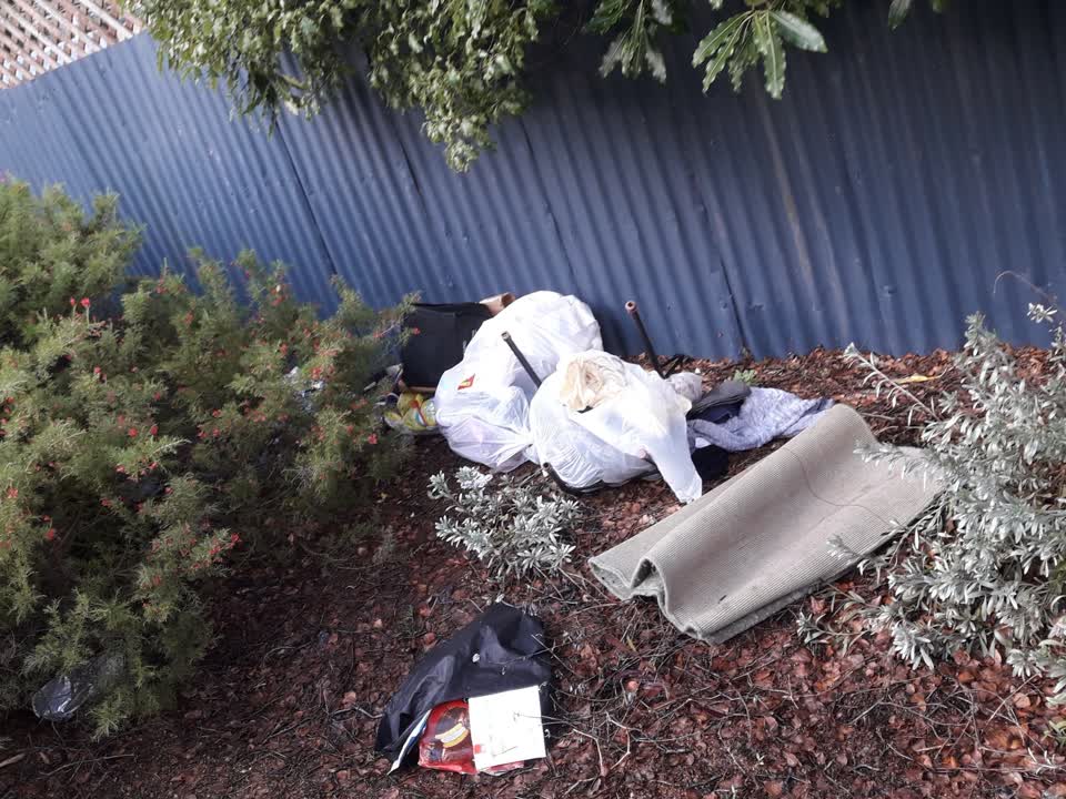 The photograph attached to this parks report