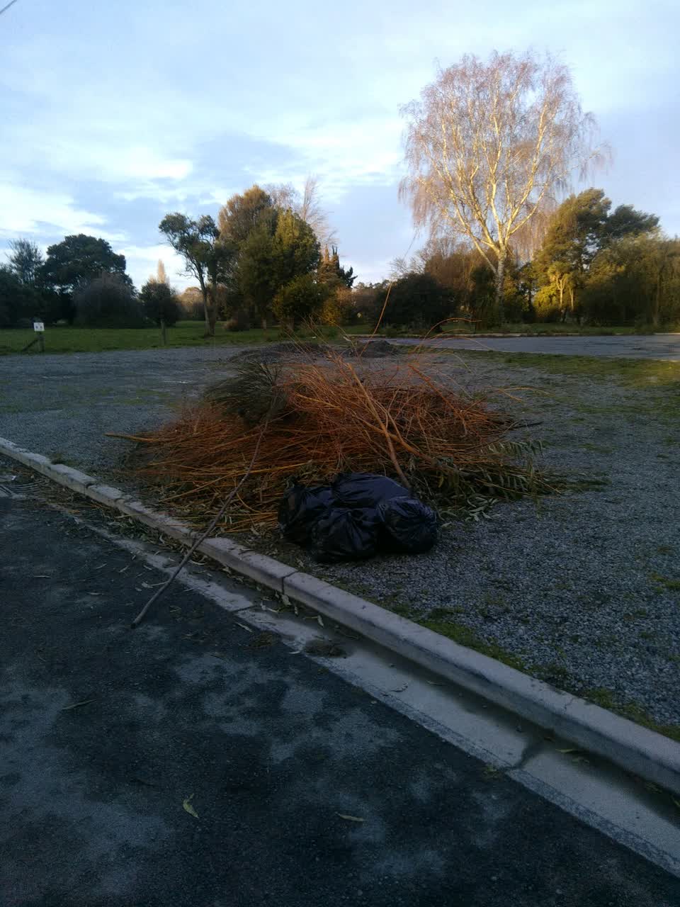 The photograph attached to this rubbish/recycling report