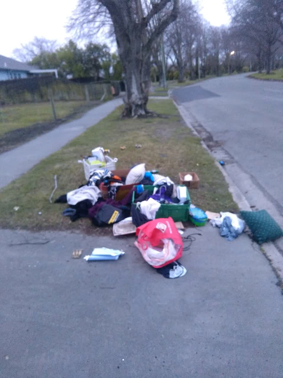 The photograph attached to this rubbish/recycling report