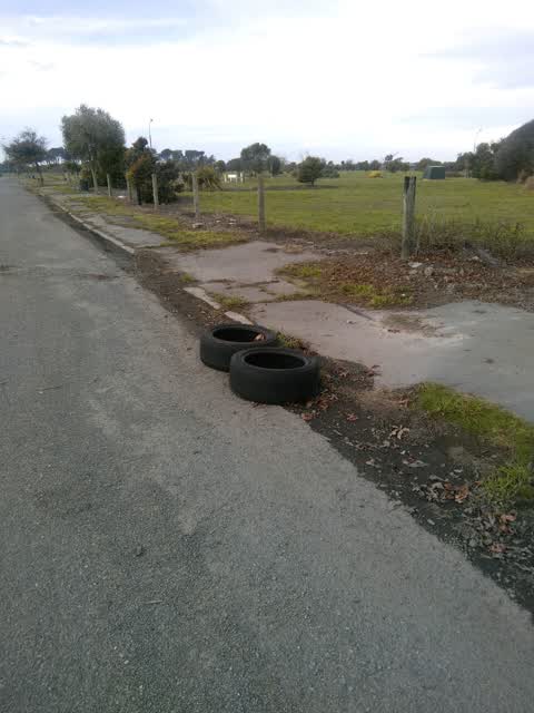 Rubbish/Recycling, a report photo