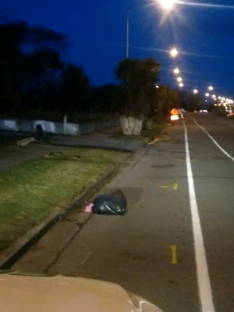 Rubbish/Recycling, a report photo