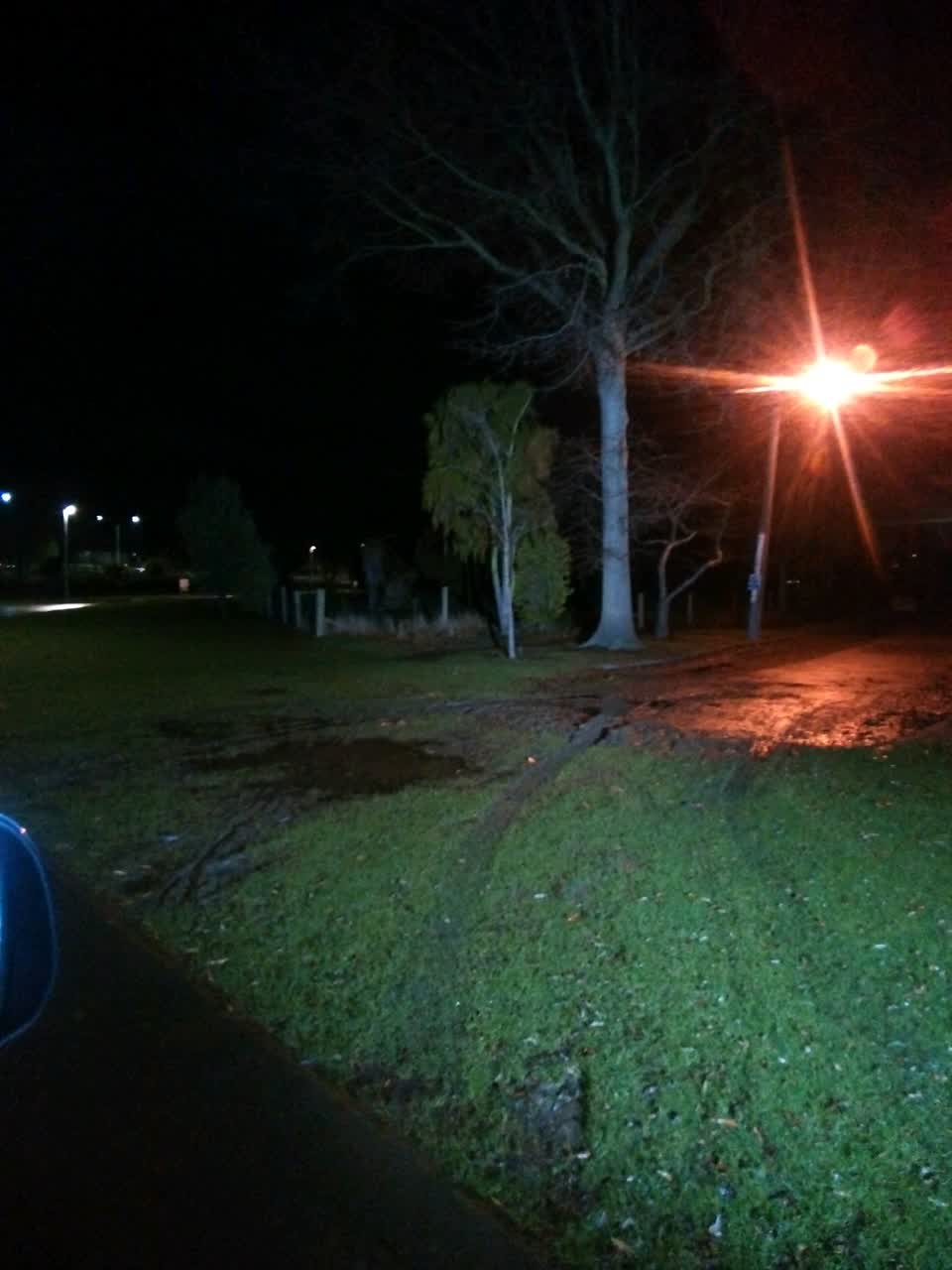 The photograph attached to this parks report