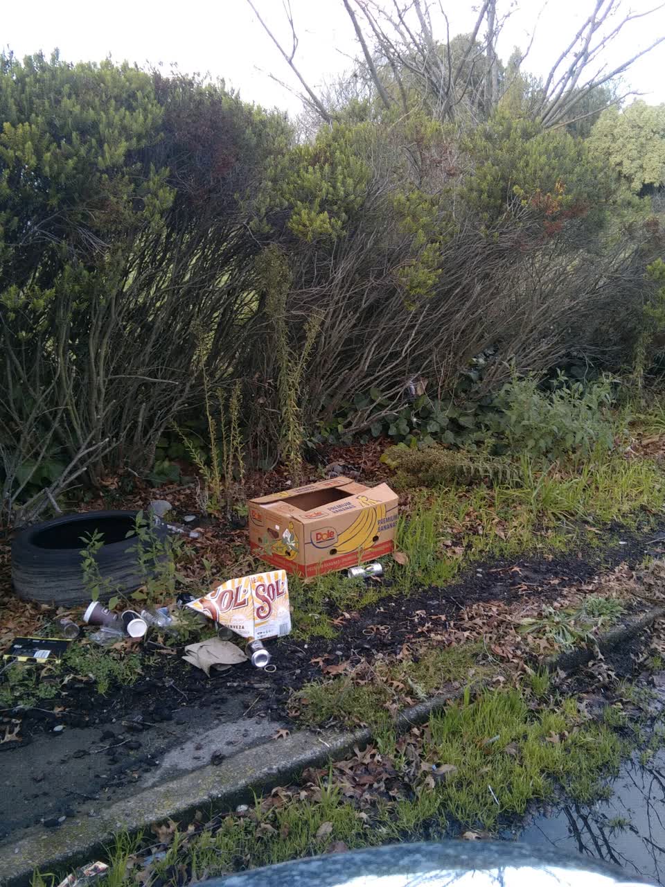 The photograph attached to this rubbish/recycling report