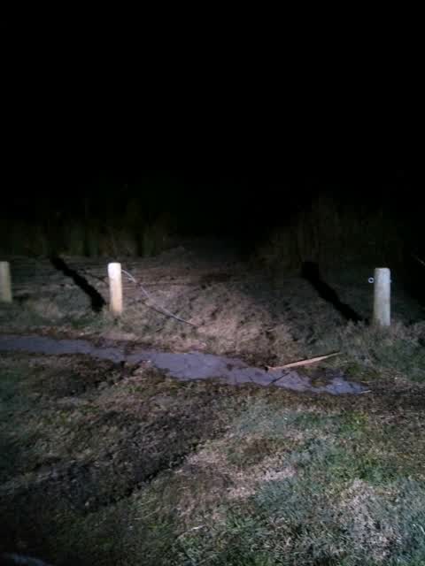 Parks, a report photo