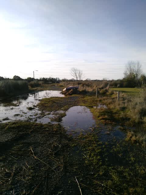 Rubbish/Recycling, a report photo