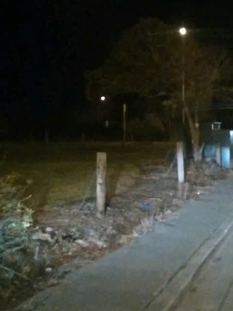 Parks, a report photo