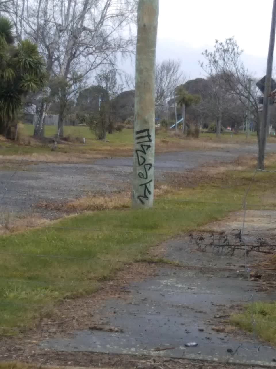 The photograph attached to this graffiti report