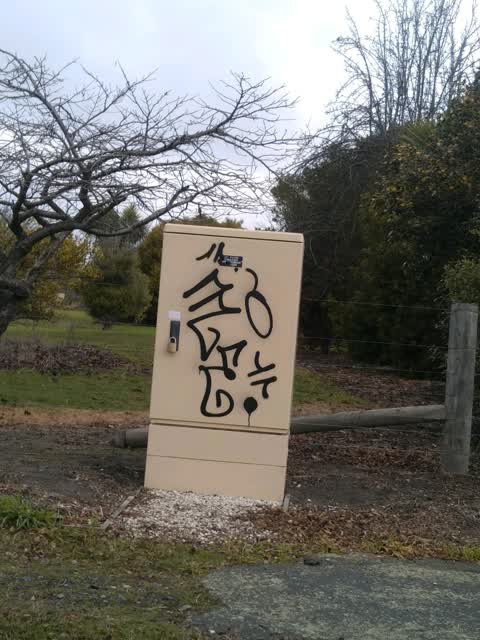 Graffiti, a report photo