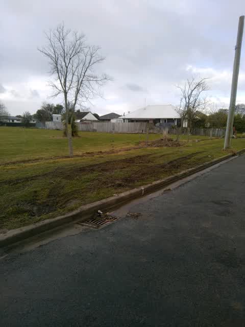 Parks, a report photo