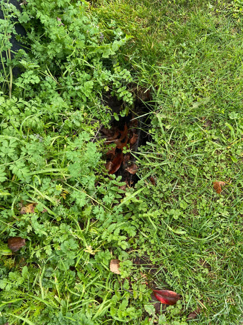 Roading/Streets, a report photo