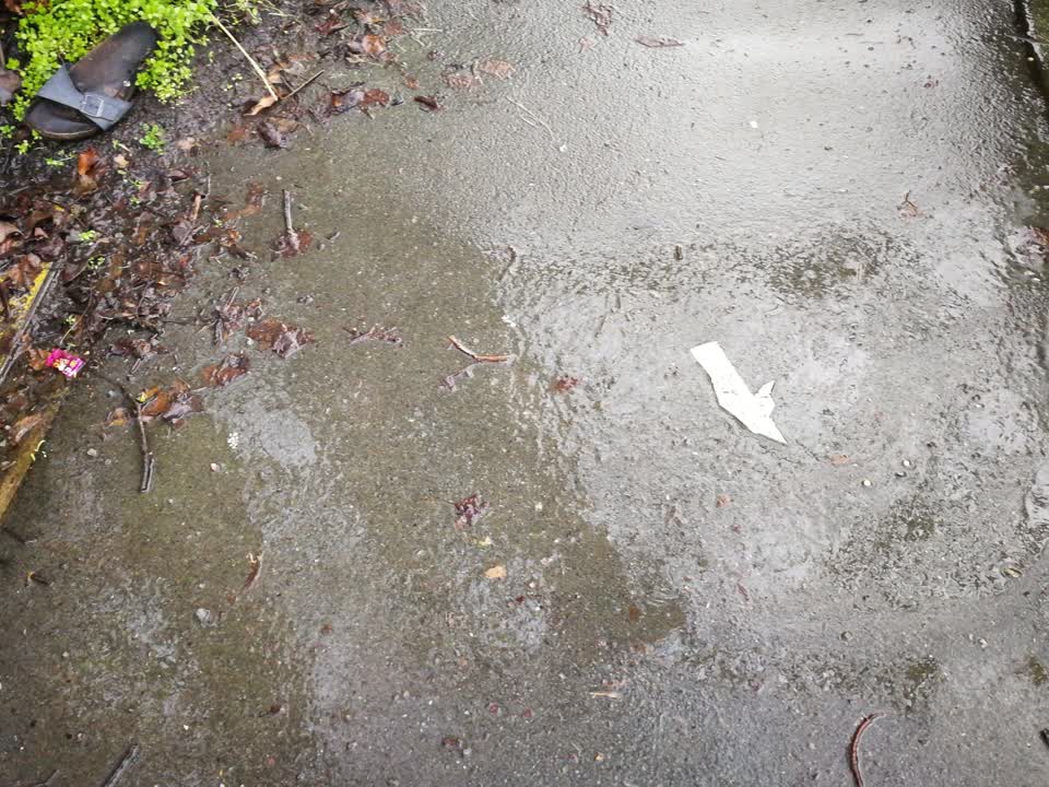 The photograph attached to this water supply report