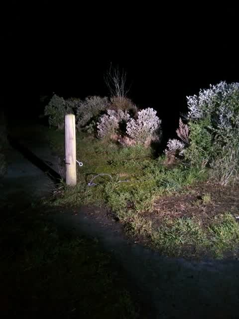 Parks, a report photo