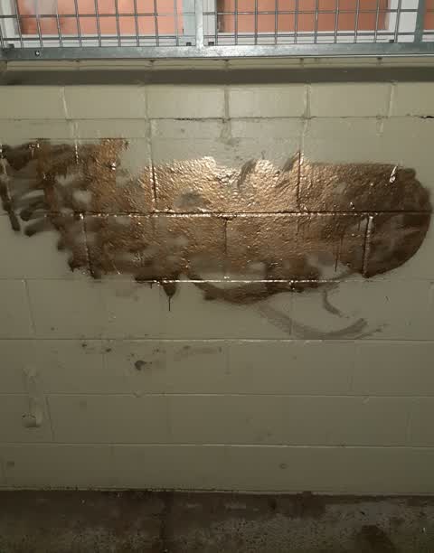 Graffiti — a report photo